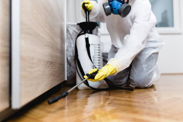 Best Commercial Pest Control Services  in Mount Clemens, MI
