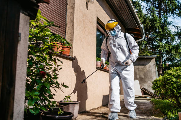 Best Residential Pest Control  in Mount Clemens, MI
