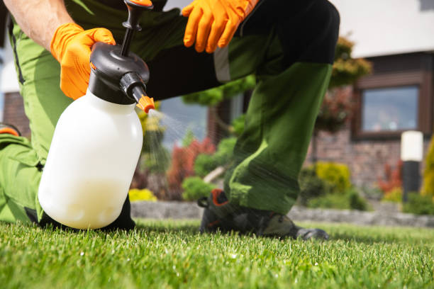Best Best Pest Control Companies  in Mount Clemens, MI
