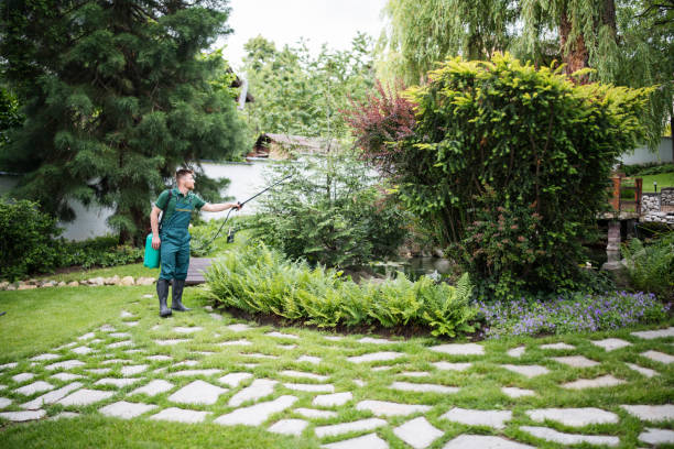 Best Wasp Removal Services  in Mount Clemens, MI