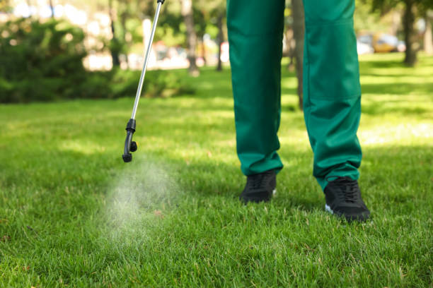 Best Insect Control  in Mount Clemens, MI