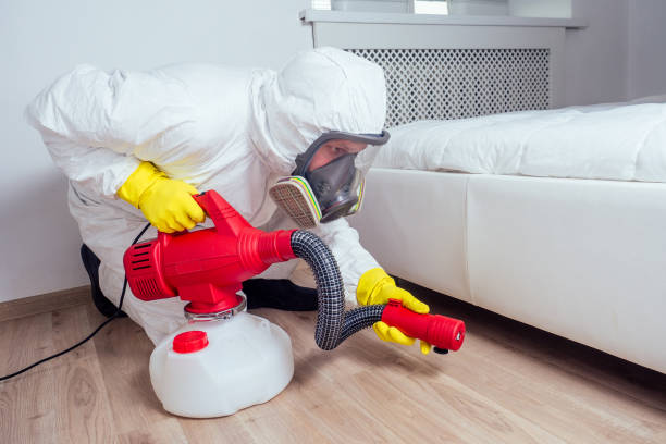 Professional Pest Control in Mount Clemens, MI