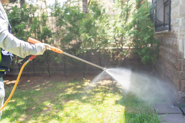 Best Pest Removal Services  in Mount Clemens, MI
