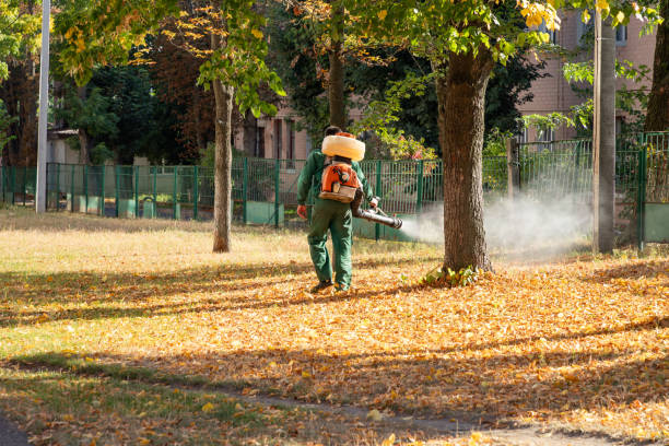 Best Best Pest Control Companies  in Mount Clemens, MI