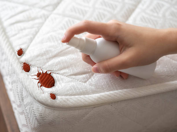 Best Best Pest Control Companies  in Mount Clemens, MI