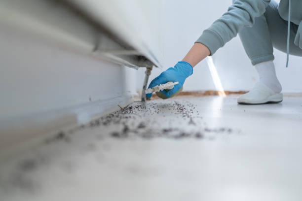 Best Pest Control Treatment  in Mount Clemens, MI
